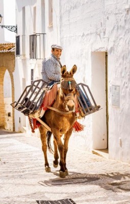 Marturii arabe pe Costa del Sol 