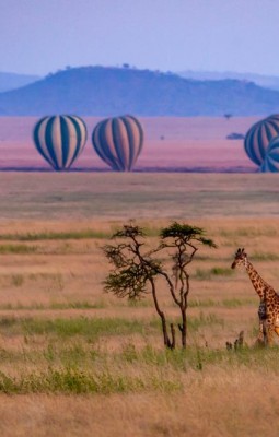 Five Weeks in a Hot Air Balloon?