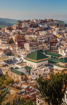 Moulay Idriss and Meknes