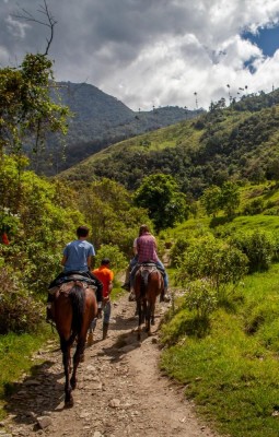 La galop in Valea Cocora