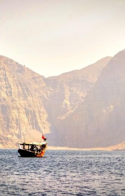 Fiorduri si delfini in Musandam 