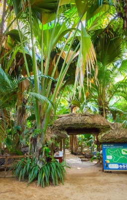  Vallee de Mai and Anse Lazio on Praslin Island