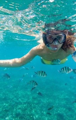 Snorkeling and Diving in the Reserve