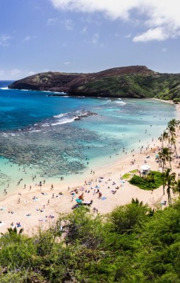 Snorkeling at Hanauma Bay, Oahu