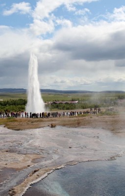 The Geysers