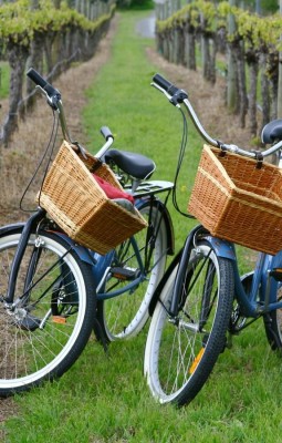 Wine & Bike in San Antonio Valley