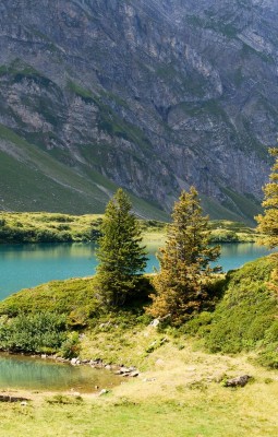 Scuter trotti la Trübsee