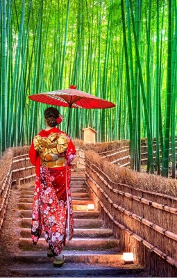 Arashiyama 