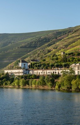 Toate panzele sus pe Rio Douro