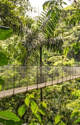 Between Earth and Sky, on Suspension Bridges