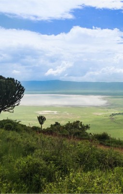 Inside the Ngorongoro Volcanic Crater