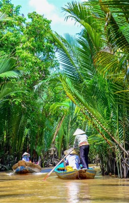 Floating Markets in the Mekong Delta