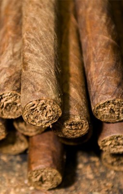 The Art of Cigar Rolling 