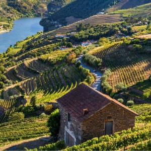 Valea Douro