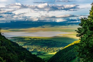 Ngorongoro