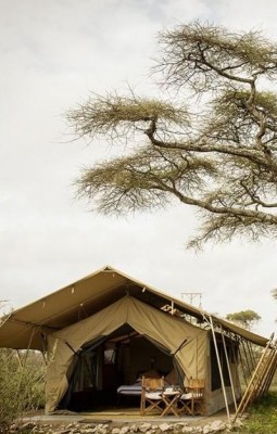 Serengeti Safari Camp