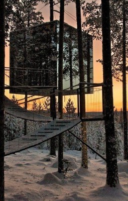 Treehotel