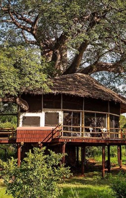 Tarangire Treetops